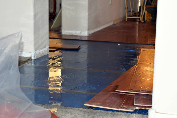 Professional Burst Pipe Cleanup technician working in Cameron, TX